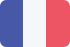 French Flag Icon